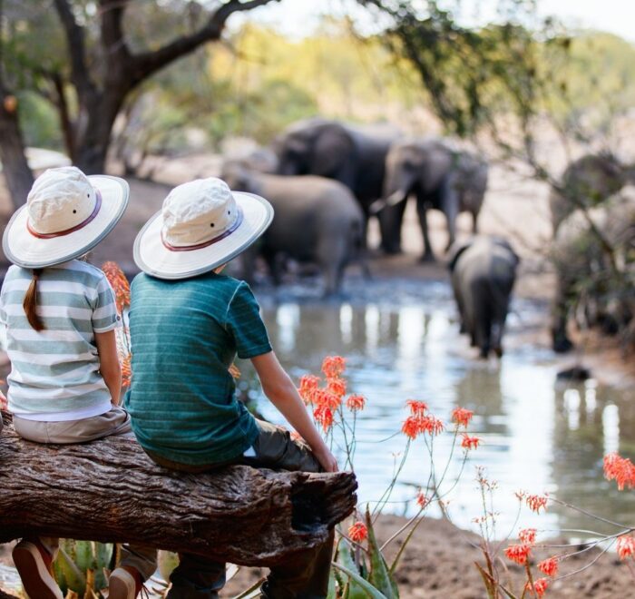tanzania family safari tours-header