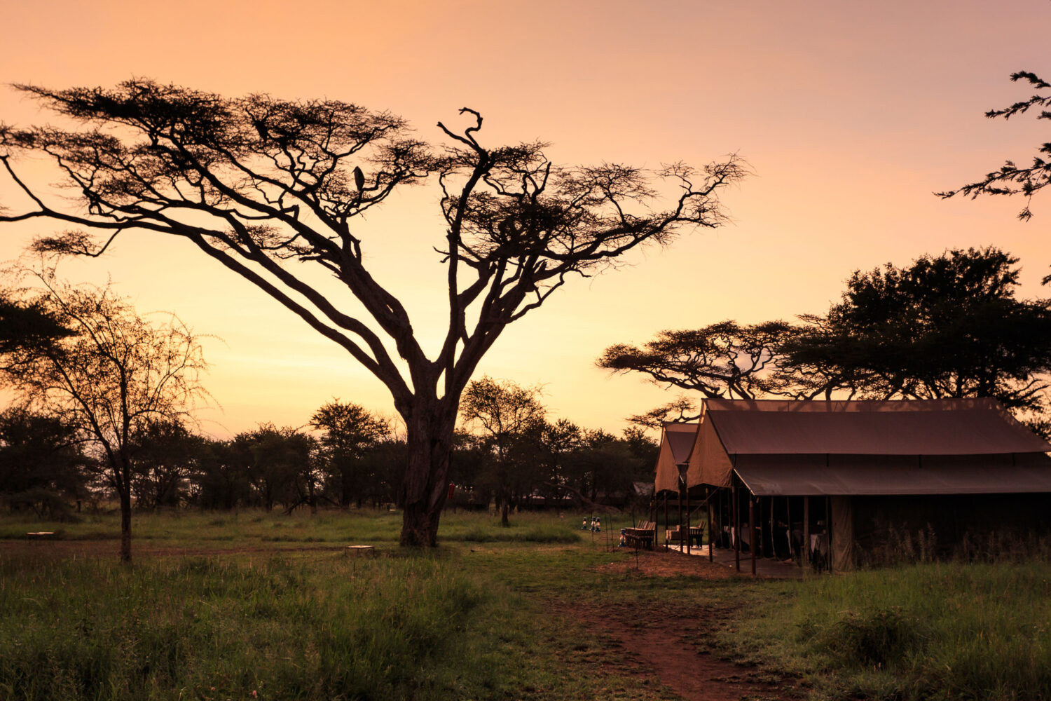 Tarangire national park lodge