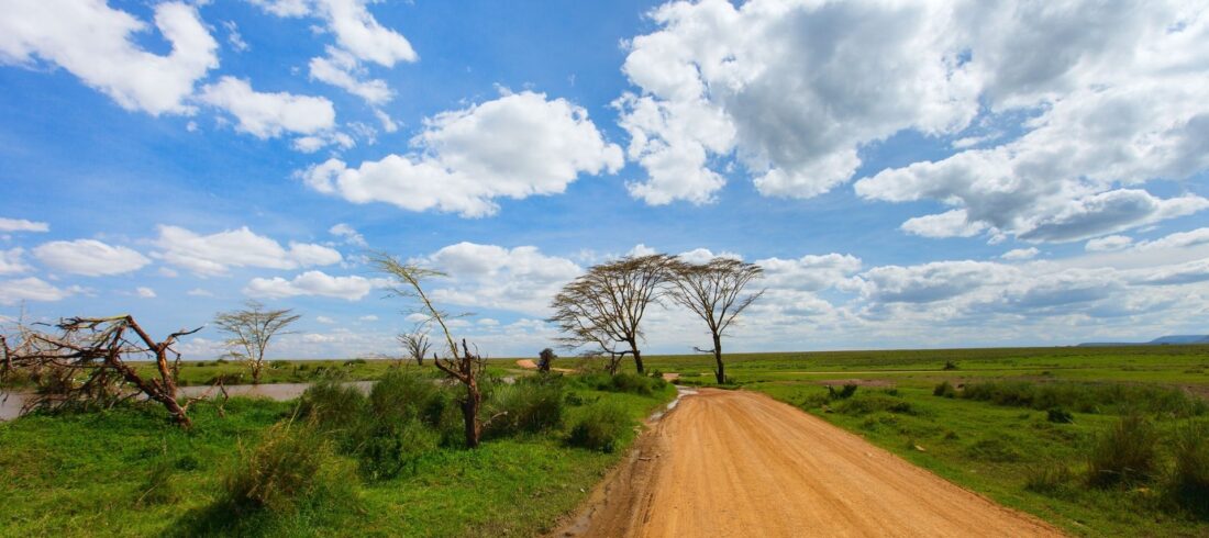 Serengeti national park safari