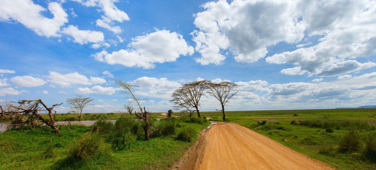 Serengeti national park safari