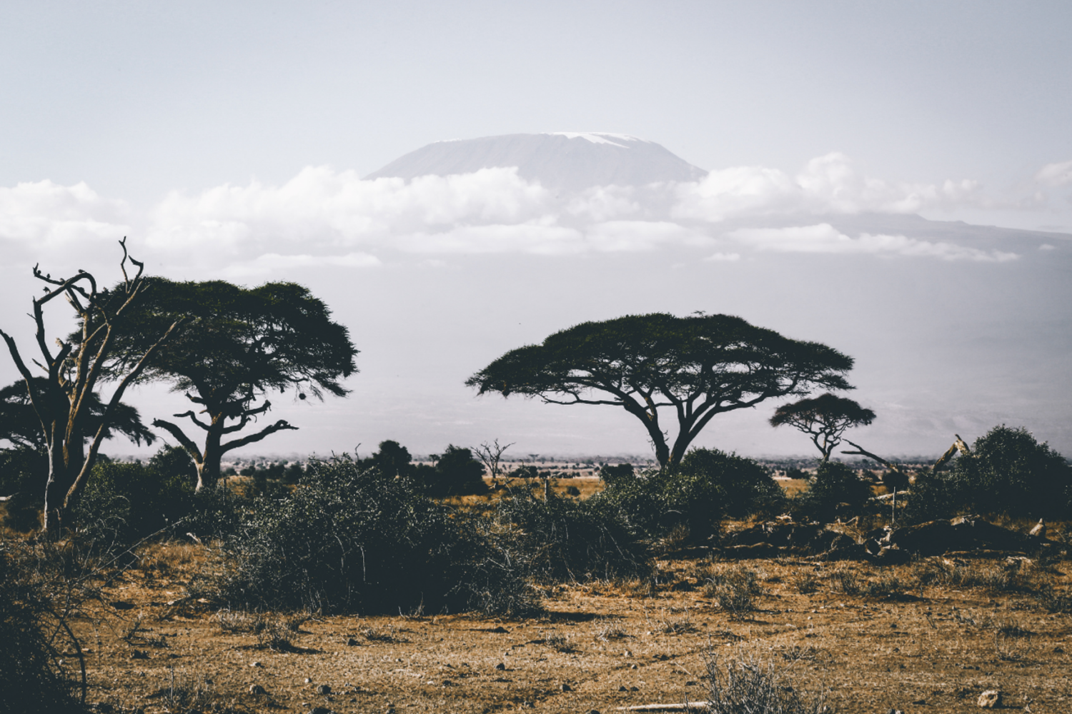 Ngorongoro national park view