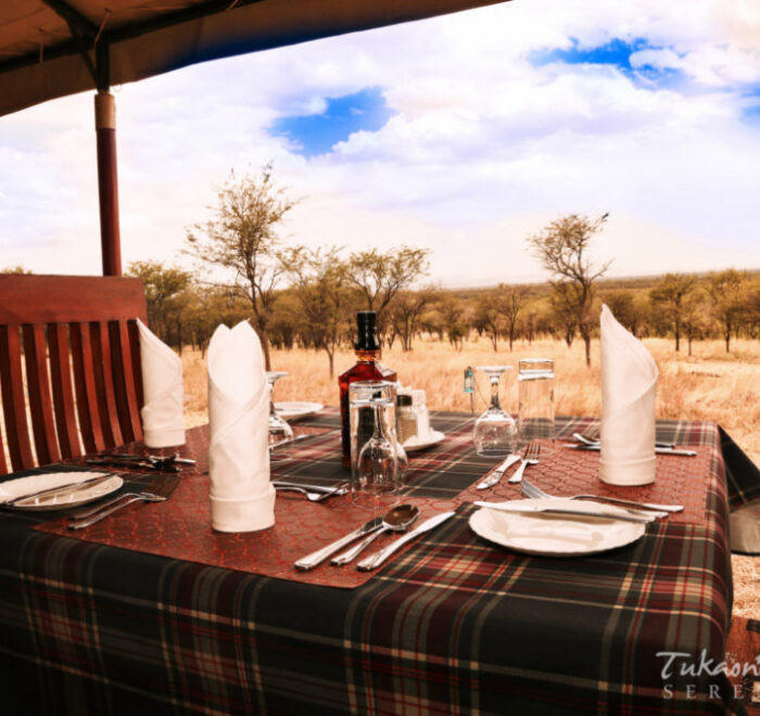Dinning in Tukaone Serengeti Camps