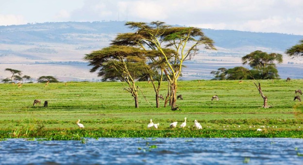 Explore Lake Naivasha - An Attraction & Destination in Kenya