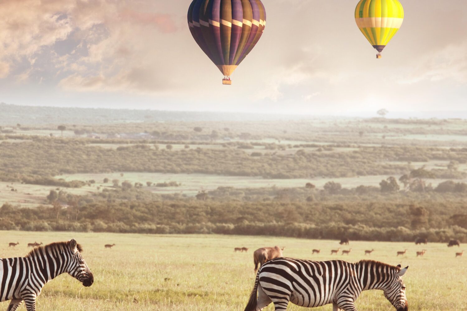 Serengeti national park tours