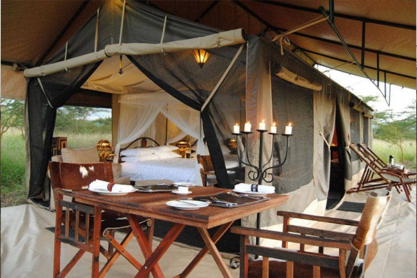 Tanzania Bush Camp 4