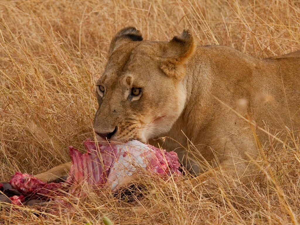 Serengeti National Park