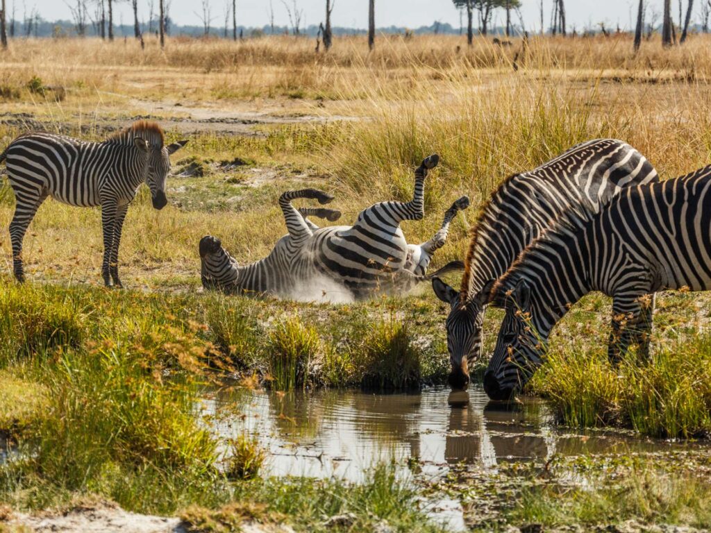 Tsavo East National Park