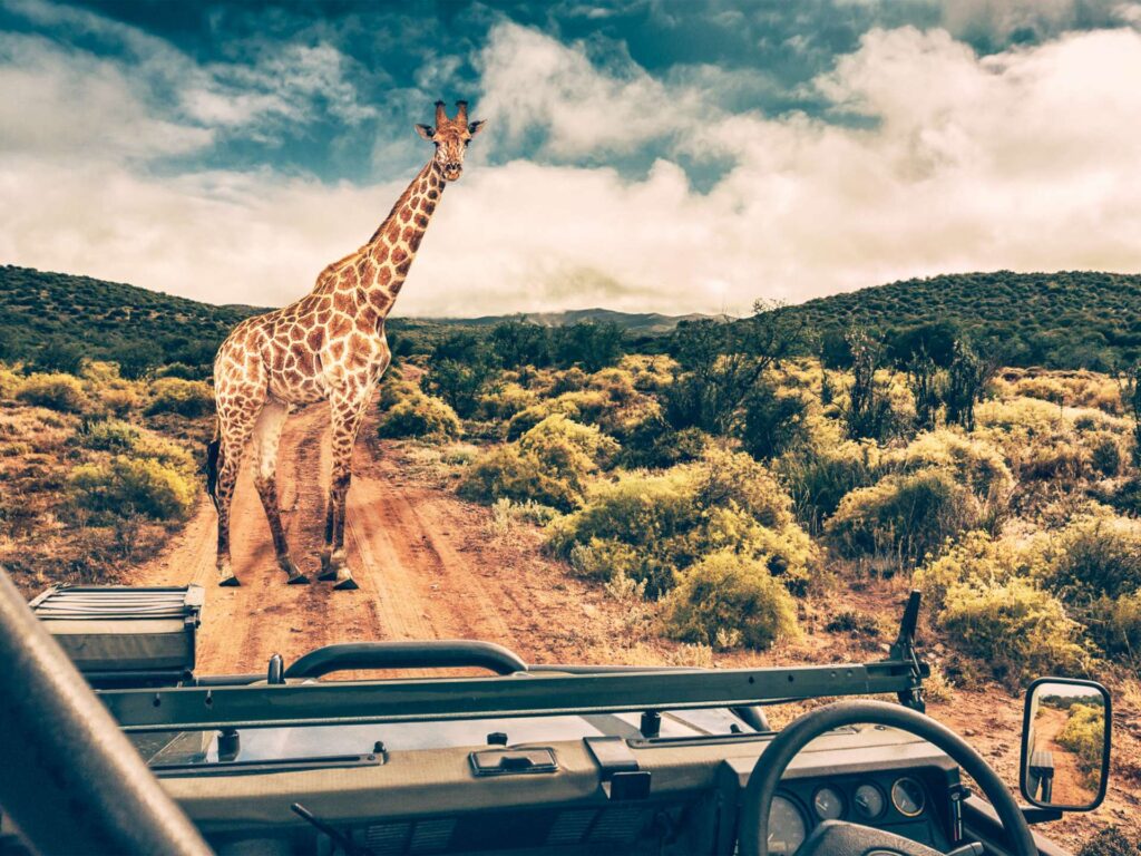 Nyerere National Park