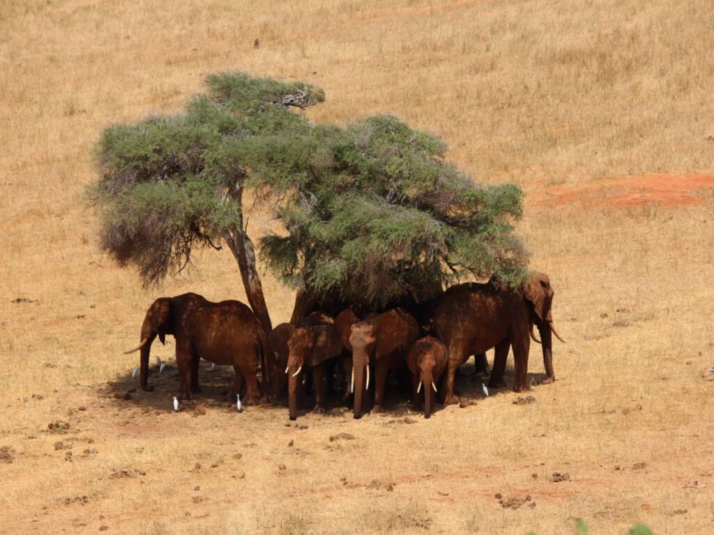 Udzungwa Mountains National Park