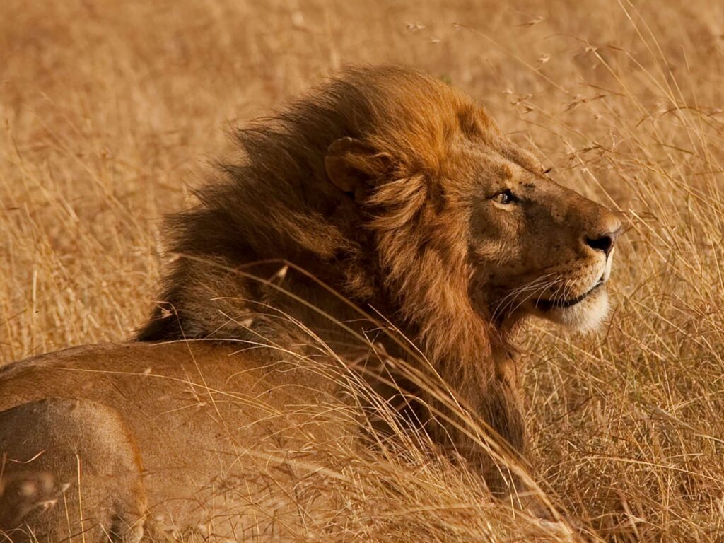 Arusha National Park