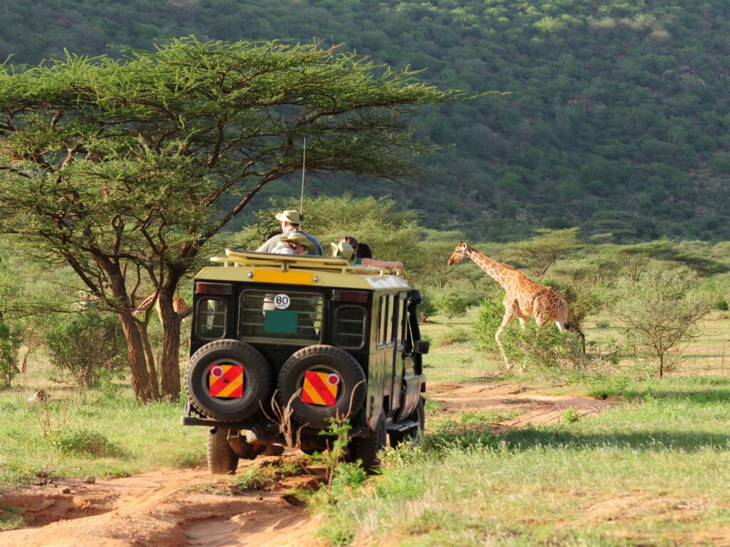 Kilimanjaro National Park