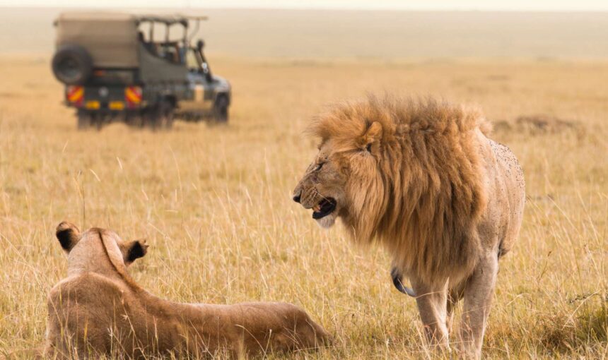 The Hidden Dangers of African Safaris: A Thrill Like No Other—But Be Ready