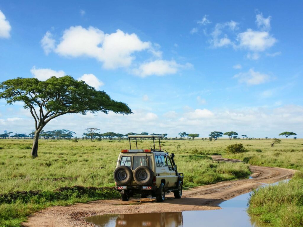 Katavi National Park