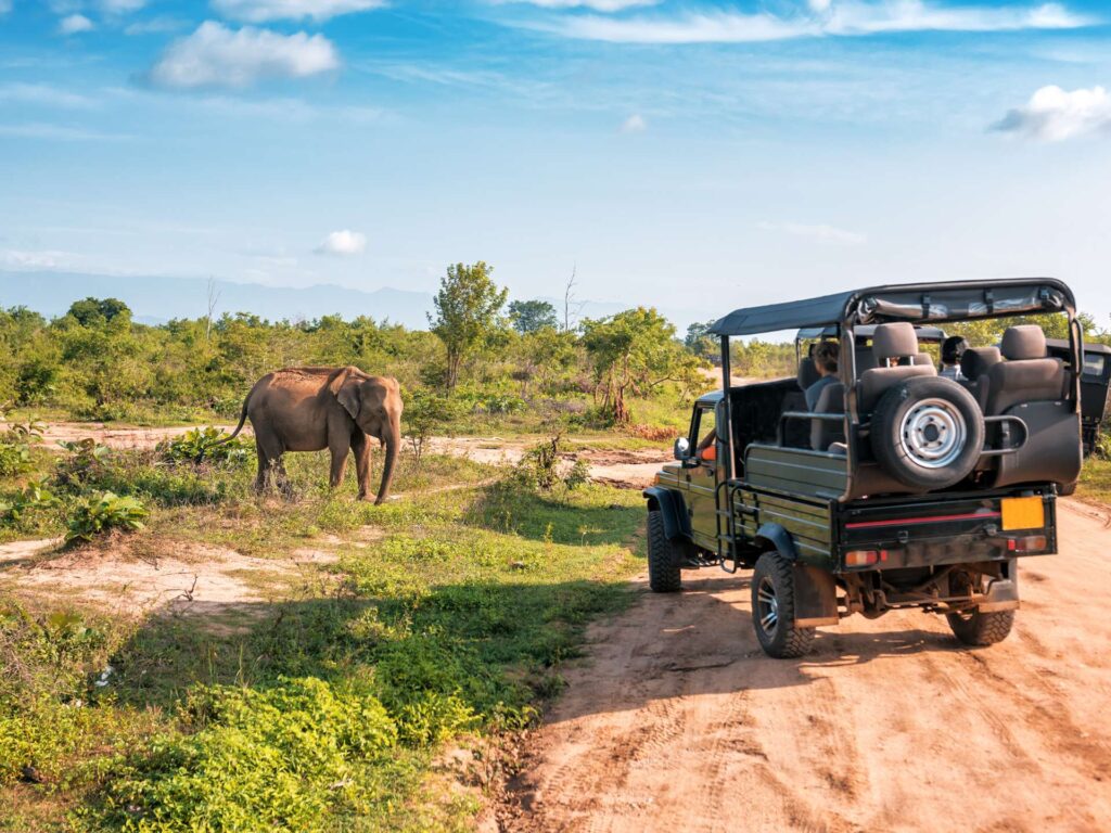 Gombe Stream National Park