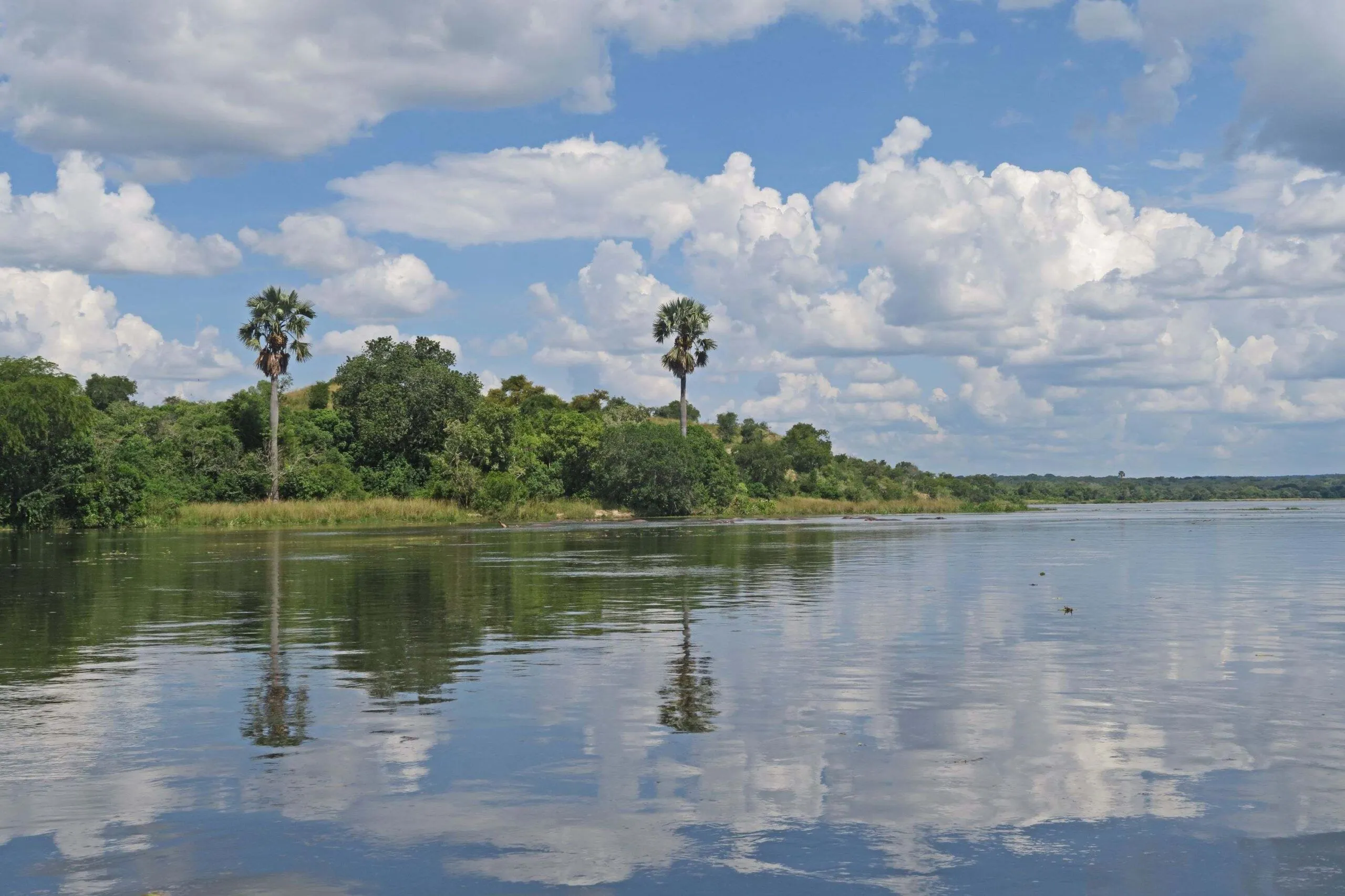 Boat Safari to Murchison Falls