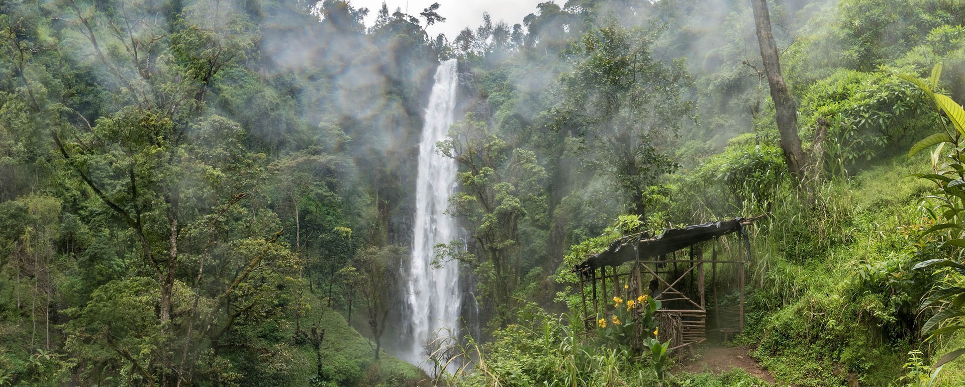 Materuni Waterfall & Coffee Tour