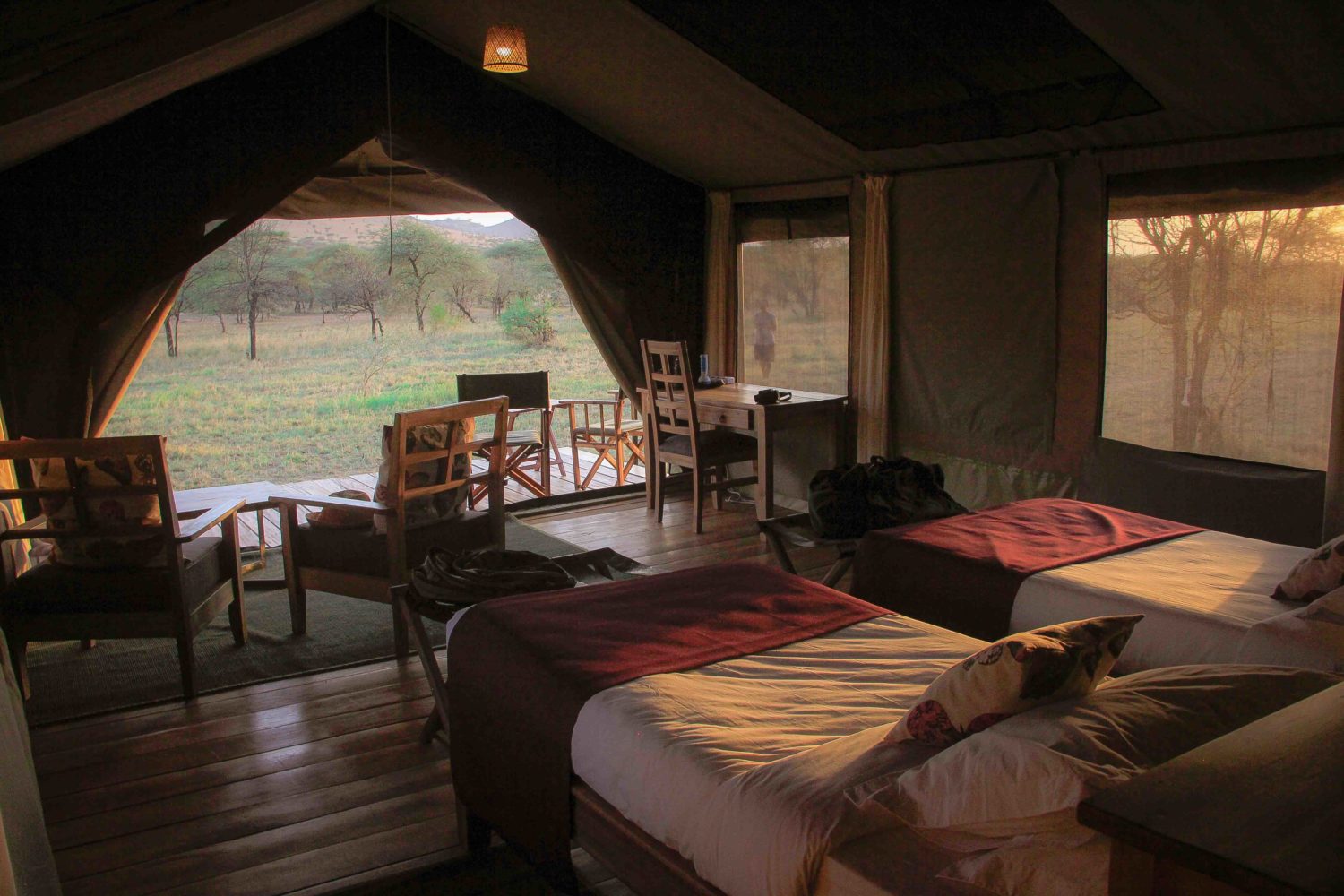 Safari-Tent-1500x1000