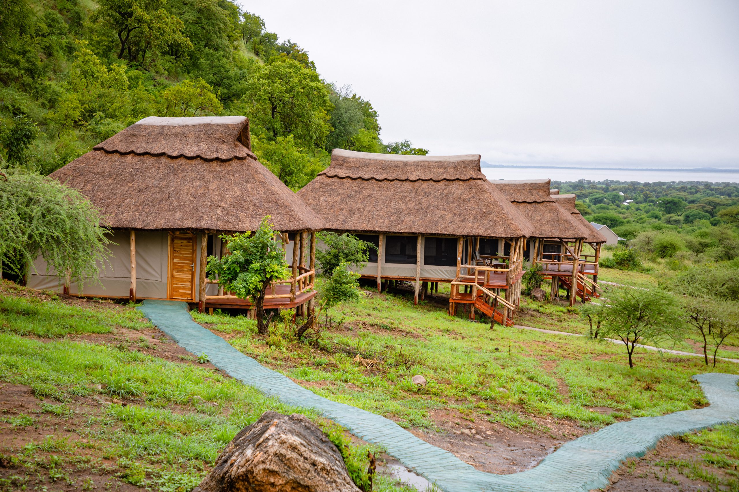 Sangaiwe-Mbuyu-261-scaled