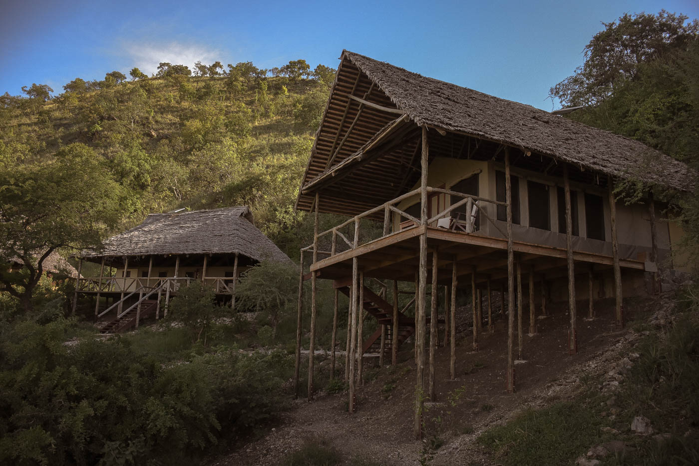 Tarangire_Sangaiwe-2298