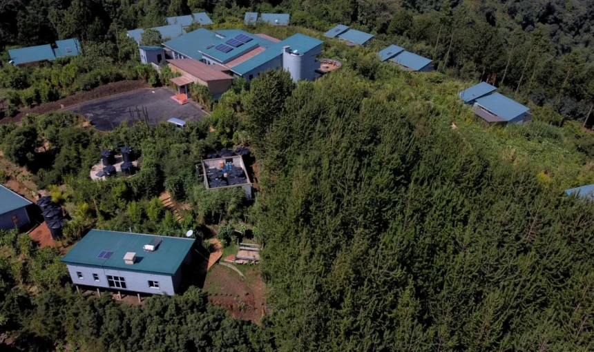 Kiho Gorilla Safari Lodge (Ruhija Sector)