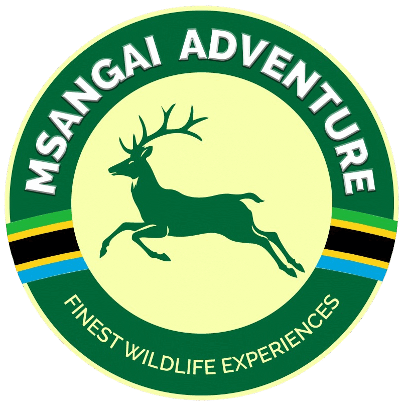 Msangai Adventure Safari