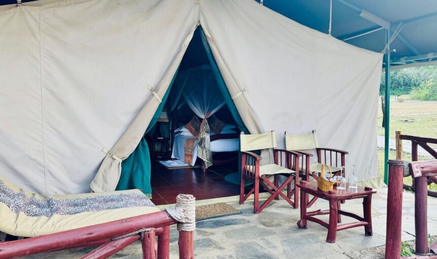 MBUZI MAWE SERENA CAMP