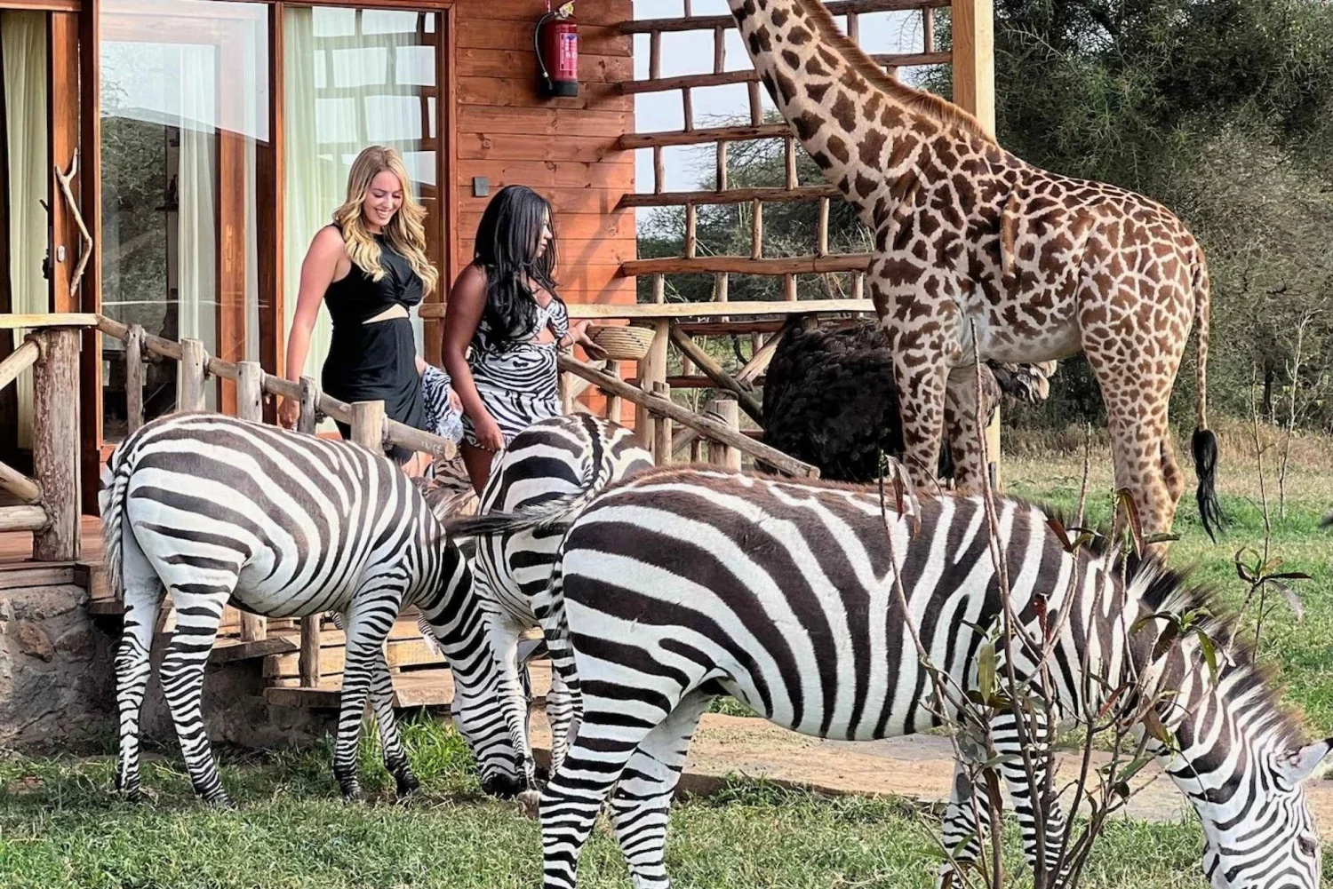 Serval Wildlife Sanctuary