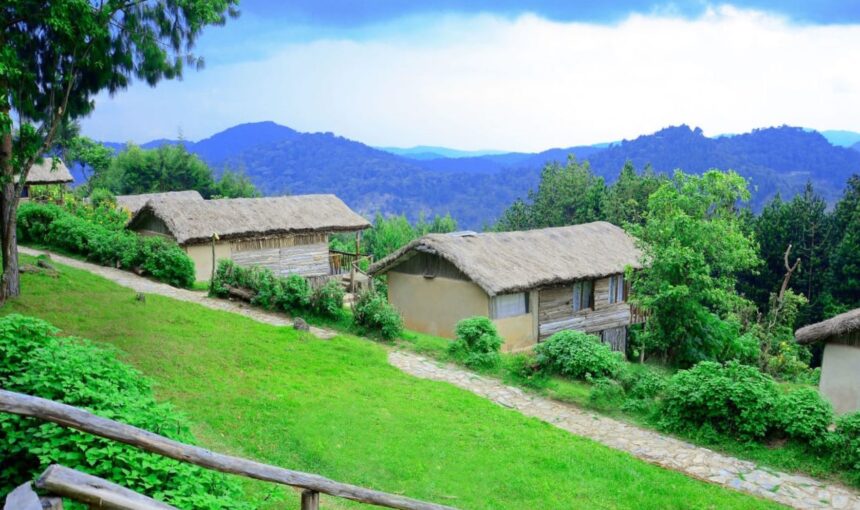 Gorilla Mist Camp (Ruhija Sector)