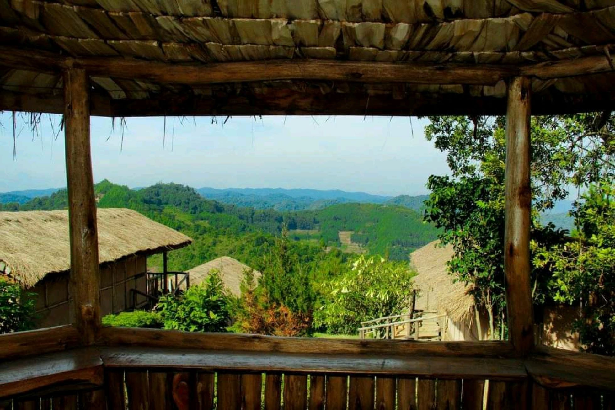 view