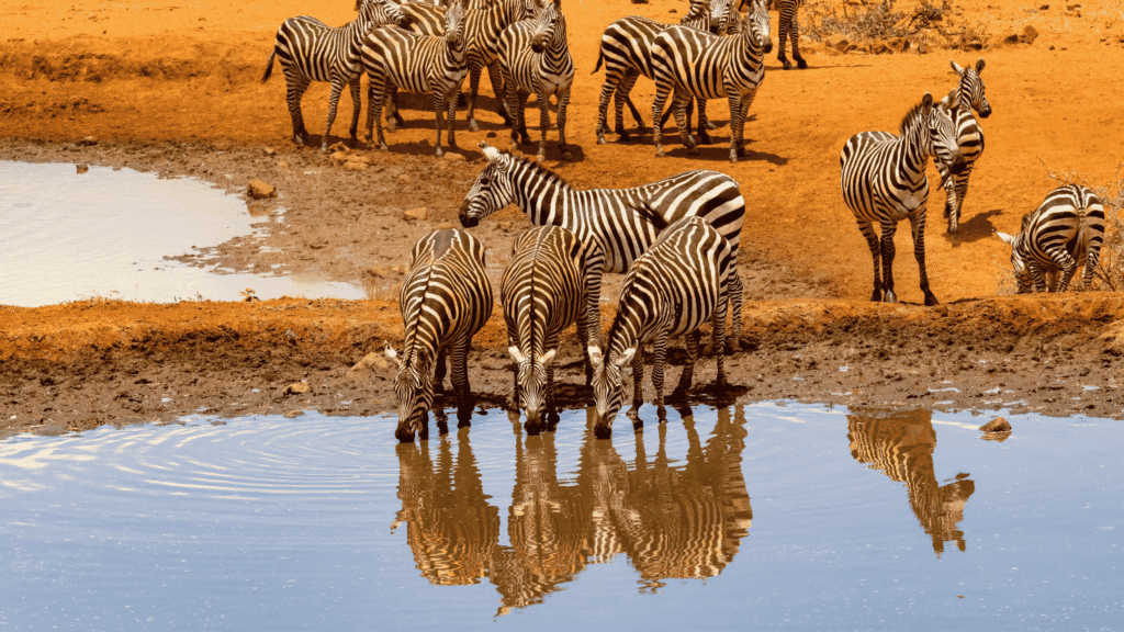 Serengeti National Park