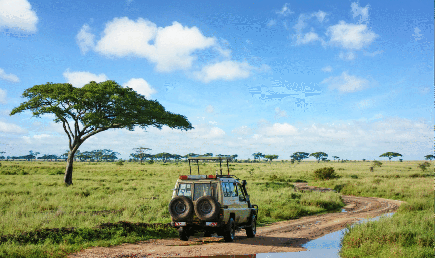 The Best Time to Travel to Tanzania: A Complete Seasonal Guide