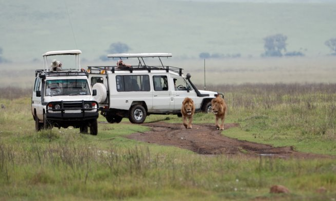Aberdare National Park