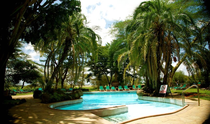 Tanzania Safari Etiquette: Things Every Traveler Should Know