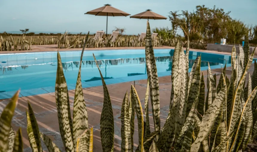 Zebra Plains Mara Camp