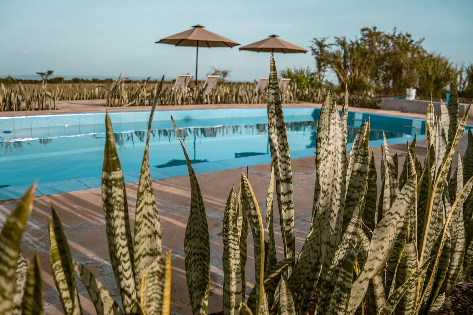 IM_KE_MAR_Zebra-Plains-Mara-Camp_Pool.webp
