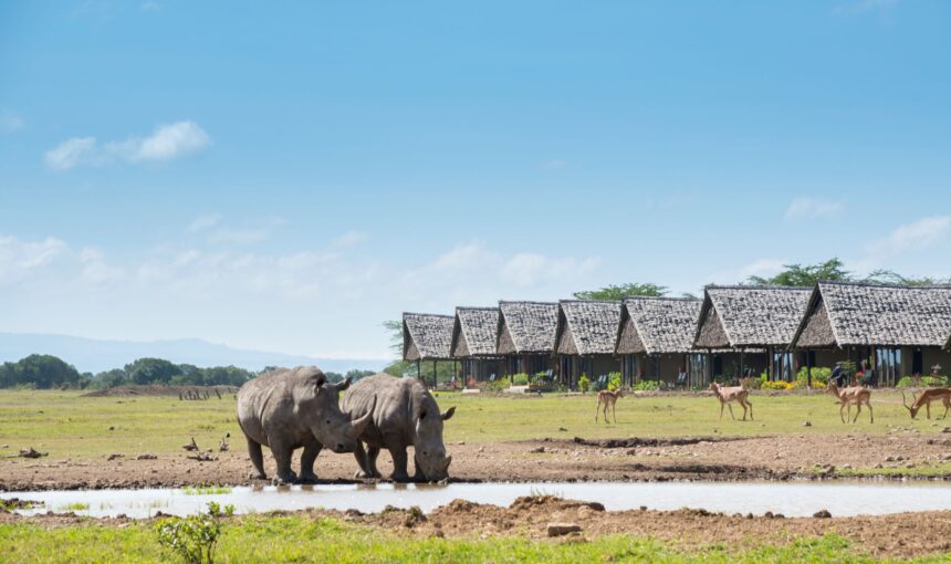 Sweetwaters Serena Camp – Morani Wing