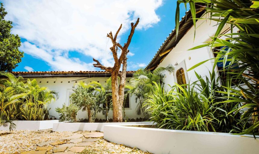 Flamboyant Bed and Breakfast