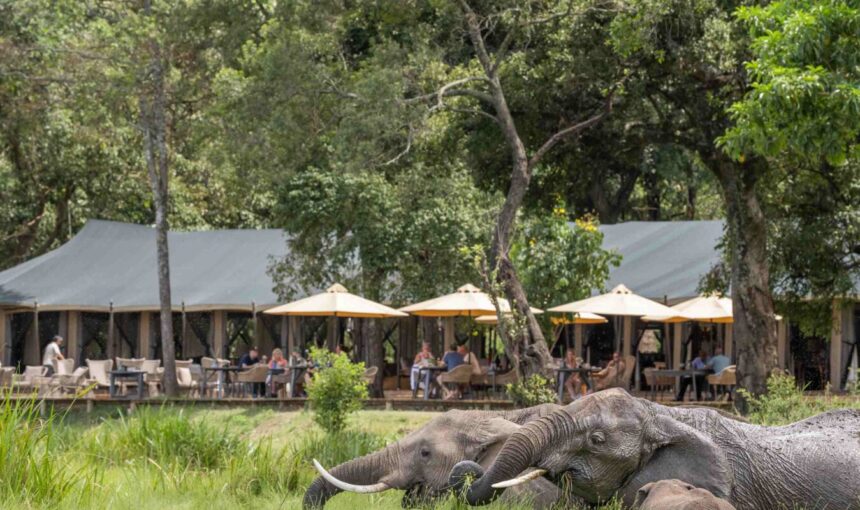 Little Governors’ camp