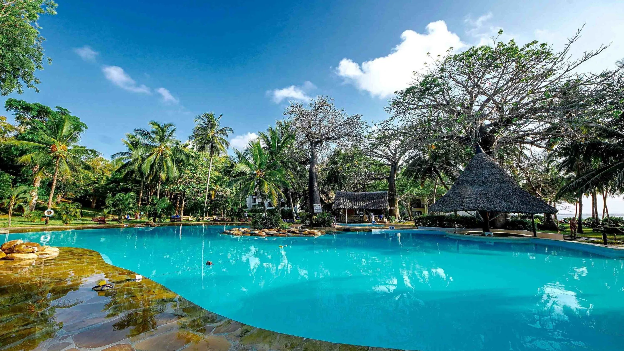 pool-15-scaled-1.webp