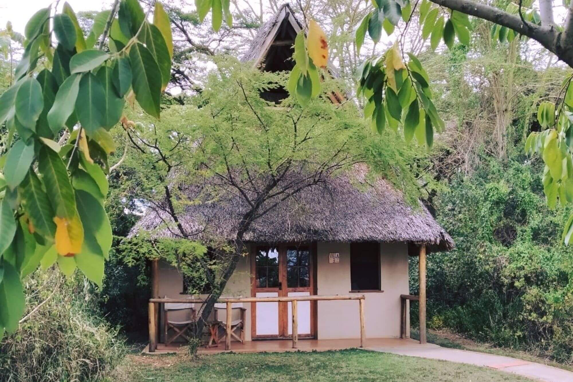 ziwa-bush-lodge-1.jpg