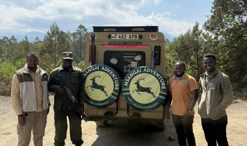 Tanzania Safari Tour Operator – Book Tanzania Safari Online for the Ultimate African Adventure