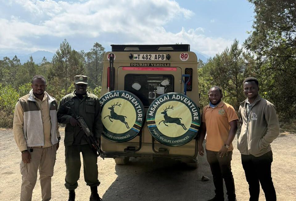 Tanzania Safari Tour